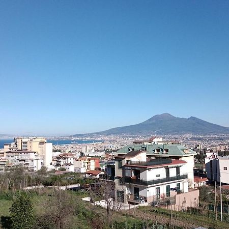 B&B Il Limoneto Gragnano Dış mekan fotoğraf
