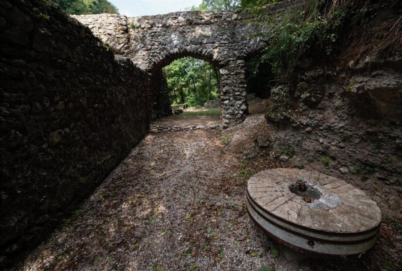B&B Il Limoneto Gragnano Dış mekan fotoğraf