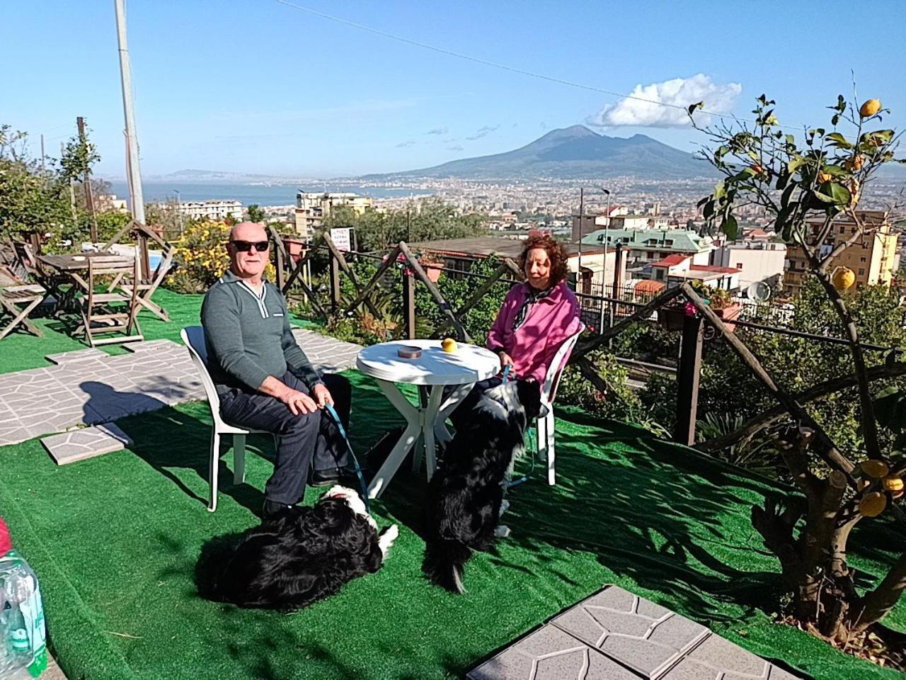 B&B Il Limoneto Gragnano Dış mekan fotoğraf