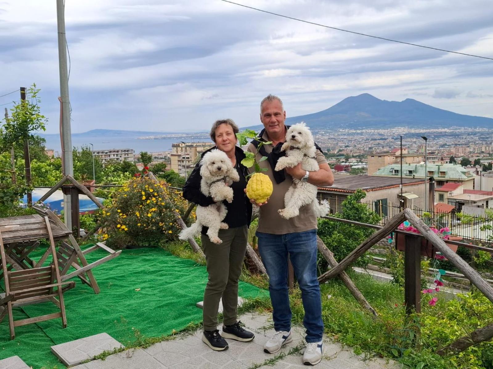 B&B Il Limoneto Gragnano Dış mekan fotoğraf